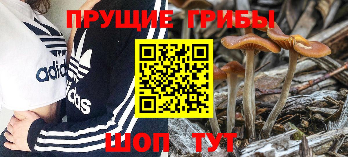 Галлюциногенные грибы мицелий  Вход с VPN  Елец 