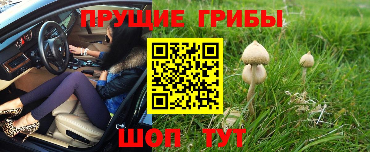 Псилоцибиновые грибы прущие грибы Елец